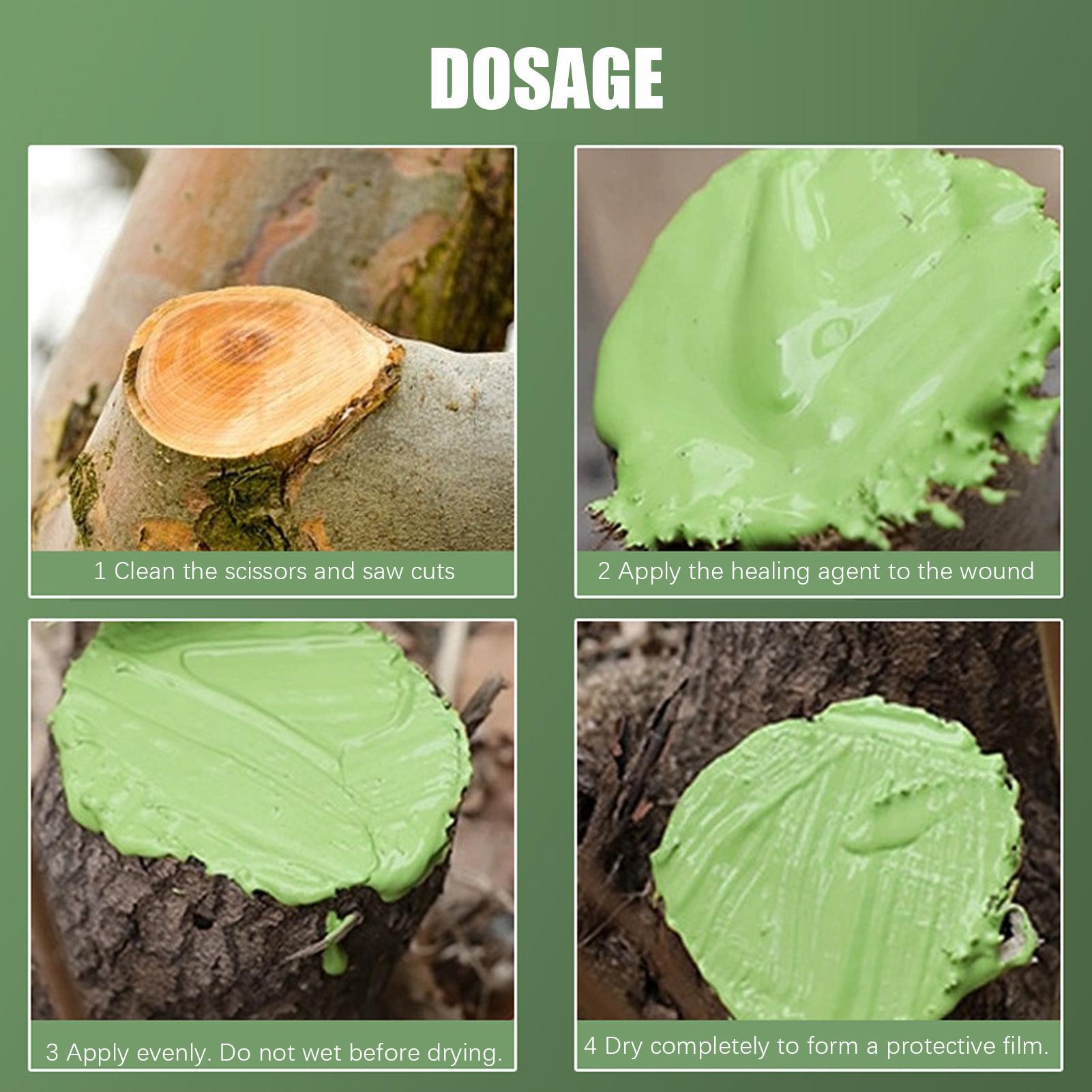 مادة لاصقة لحماية النباتات وتع - مراجعة Bonsai Garden Tree وسعره