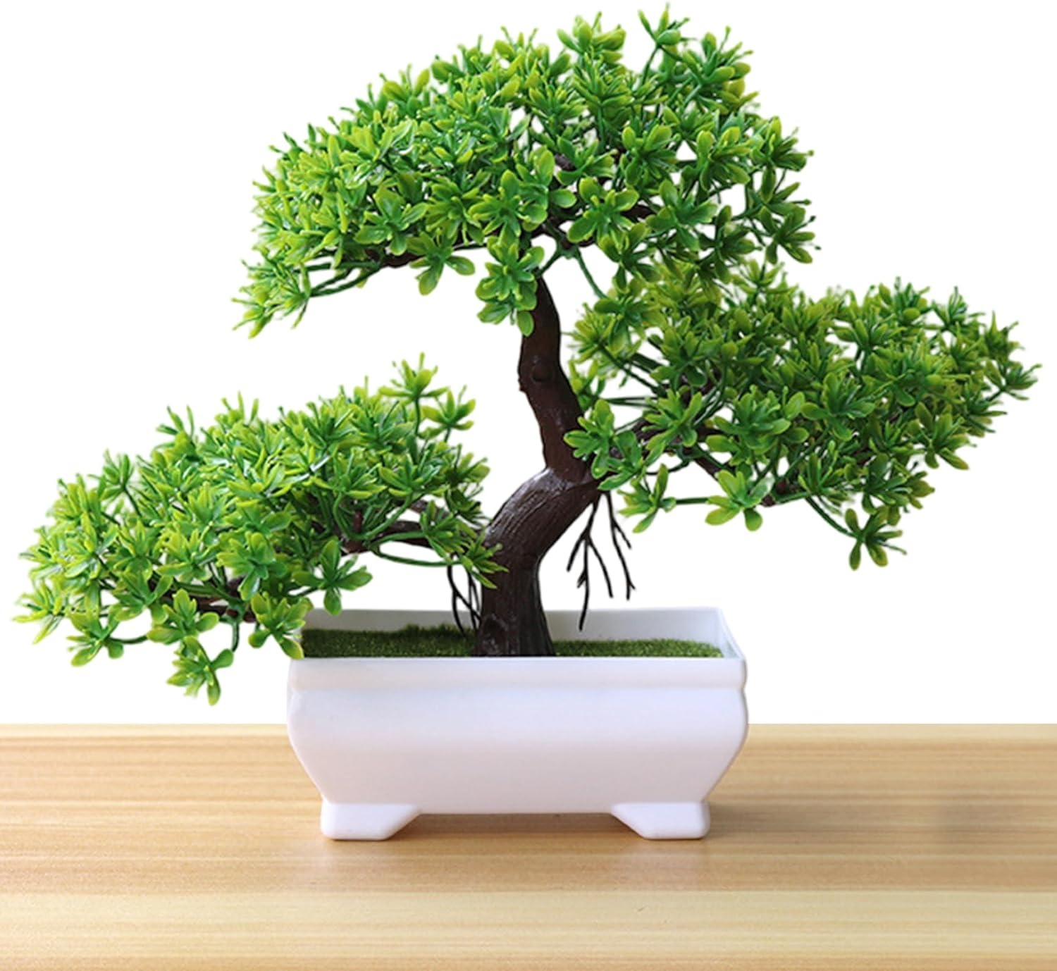 1/2 قطعة شجرة بونساي اصطناعية، - مراجعة Bonsai Gardenia وسعره