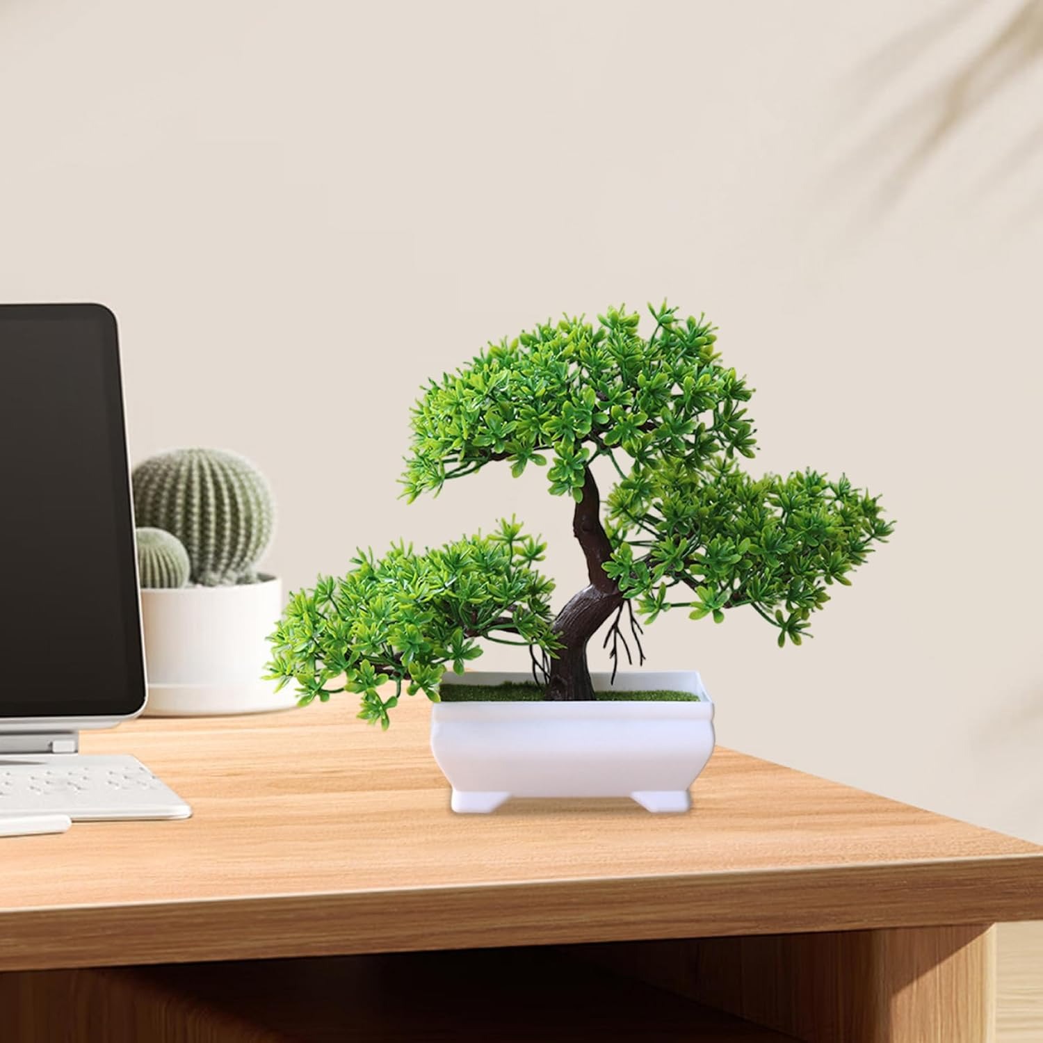 1/2 قطعة شجرة بونساي اصطناعية، - مراجعة Bonsai Gardenia وسعره